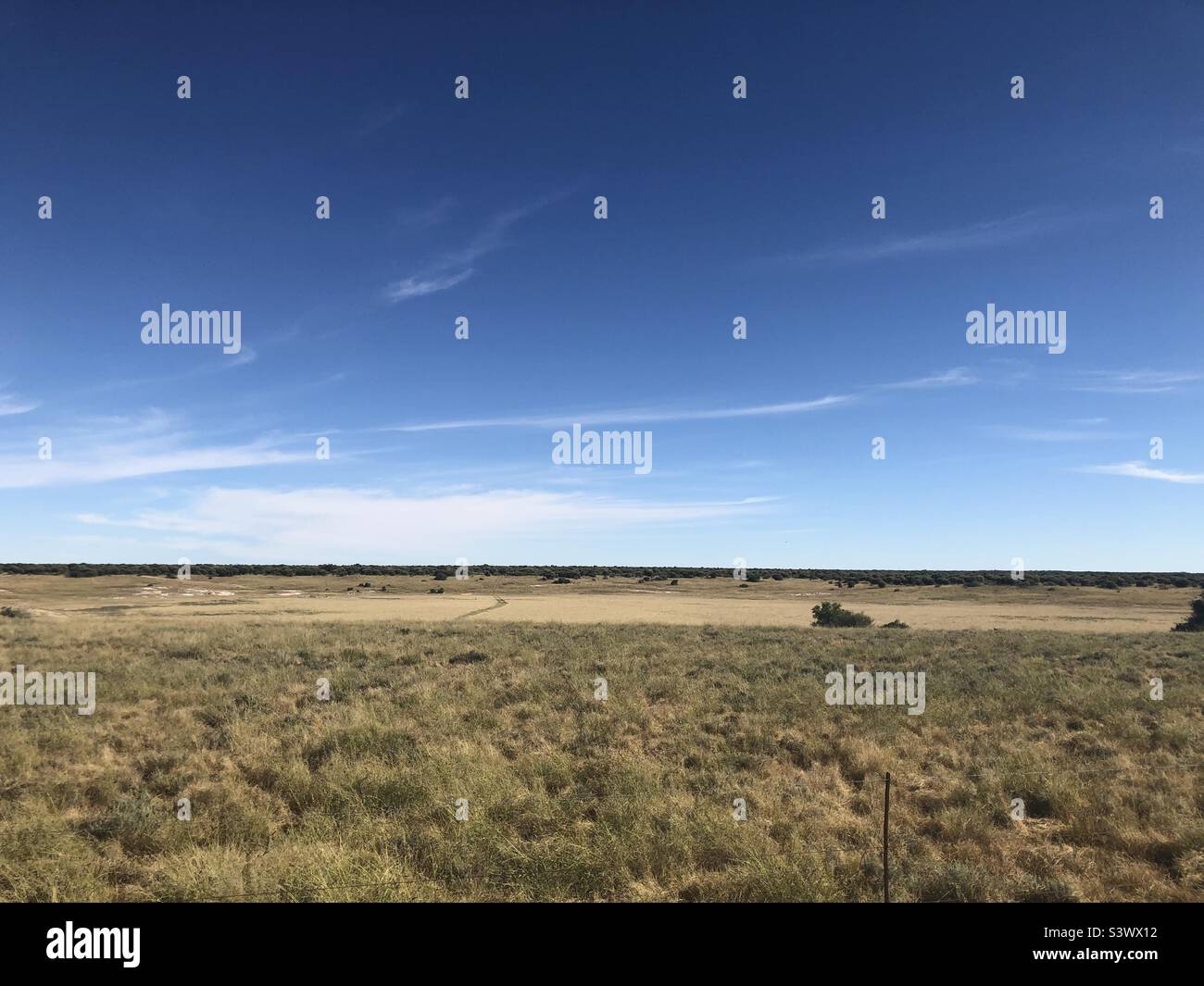 The sun is out. The sky is blue. The veld is waiting for the rain. Northern Cape. South Africa Stock Photo