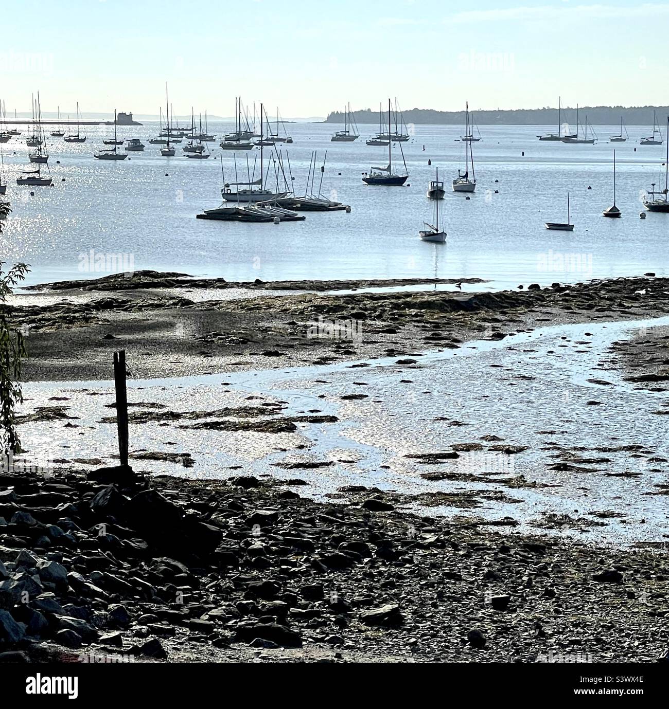 Low tide in Maine Stock Photo Alamy