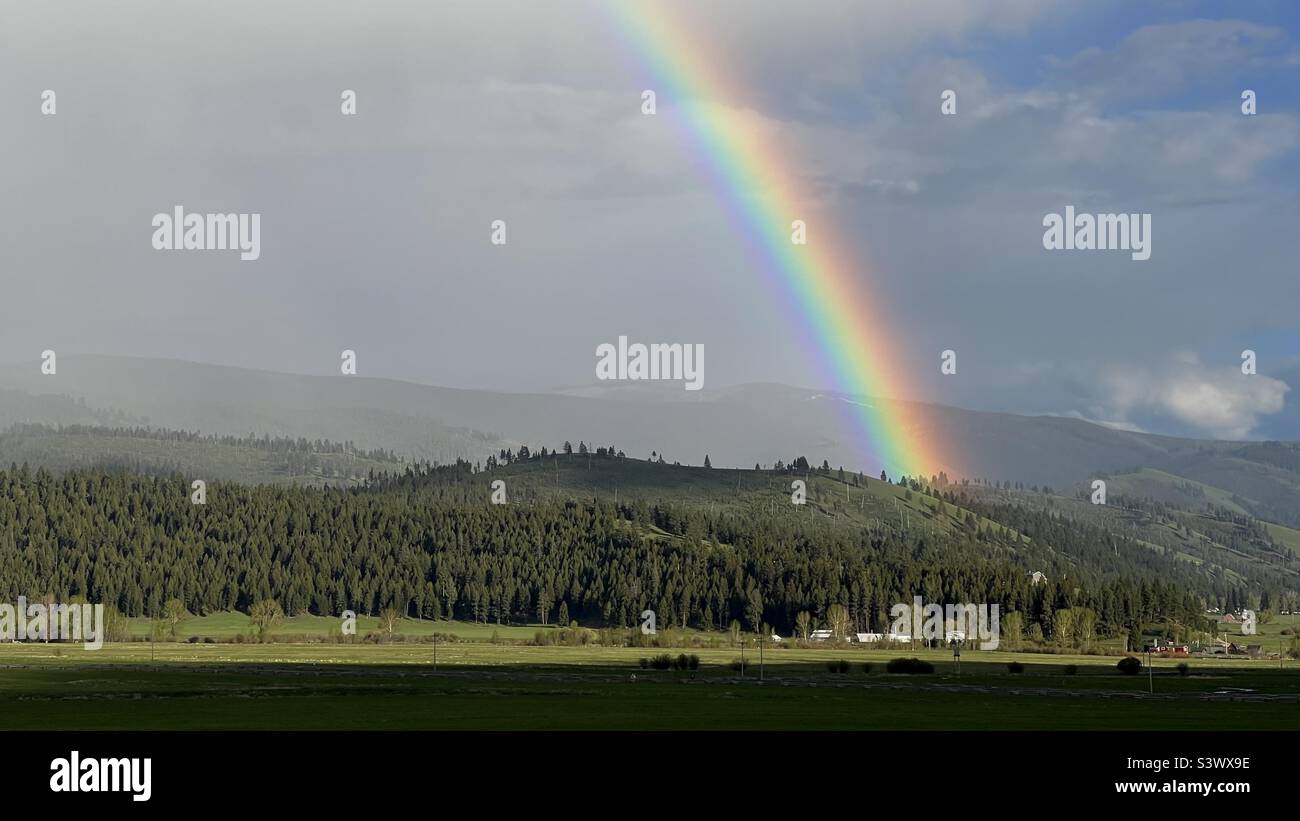 Bright rainbow over pine-covered hills and grassland, overcast day with distant mountains under grey clouds, in Montana, USA - Smartphone Captured Stock Image