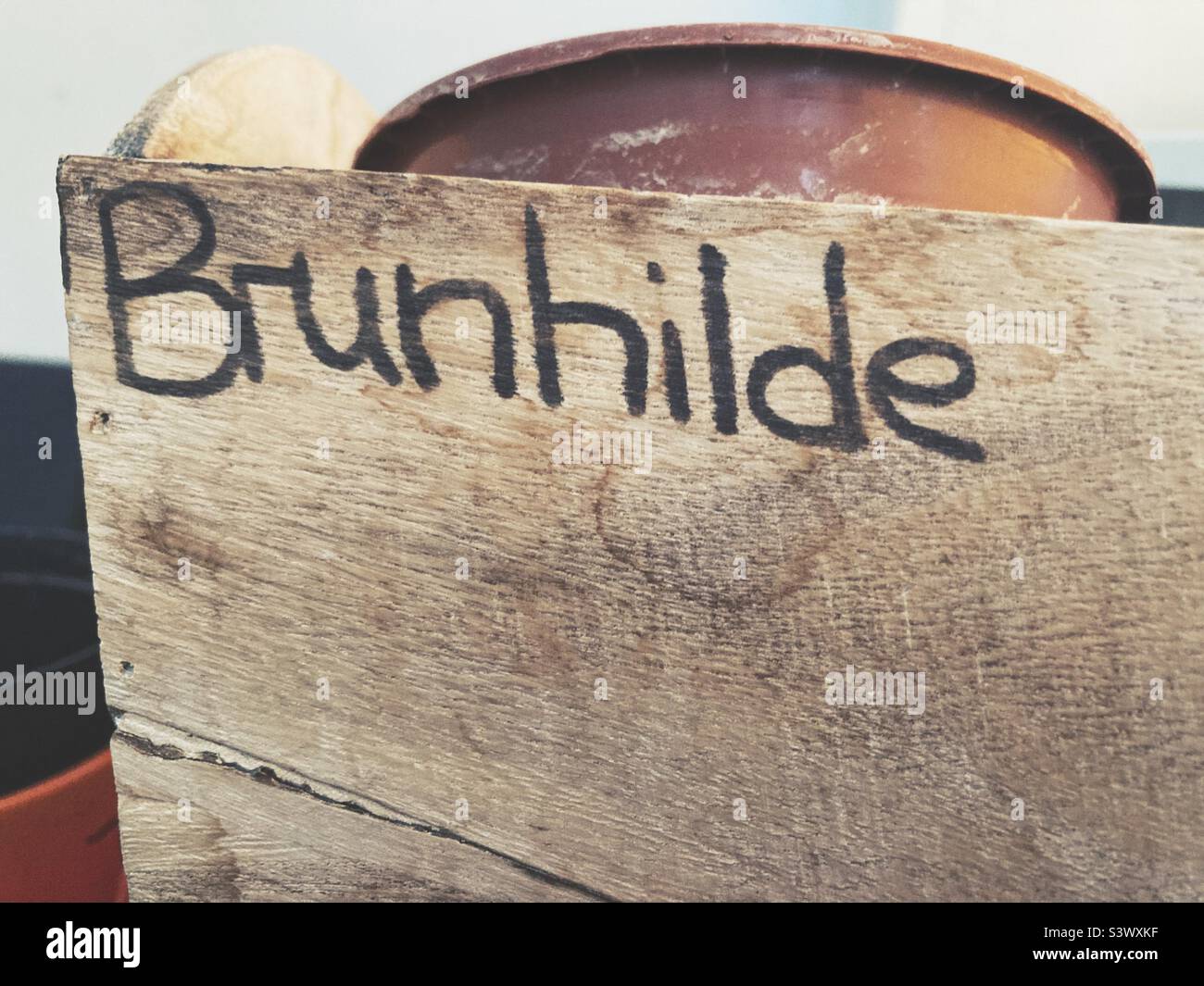 The Name Brunhilde written on a wooden board Stock Photo
