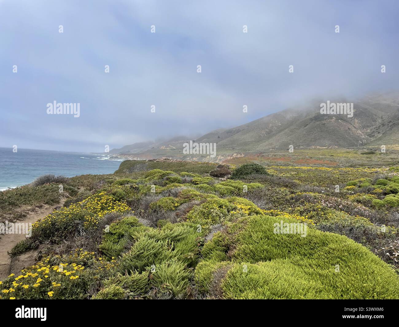 California sea otter game refuge hi-res stock photography and images - Alamy