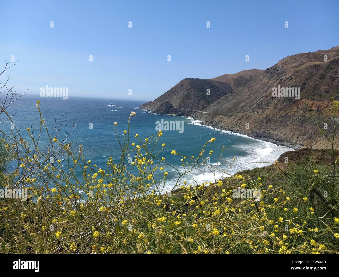 California sea otter game refuge hi-res stock photography and images - Alamy
