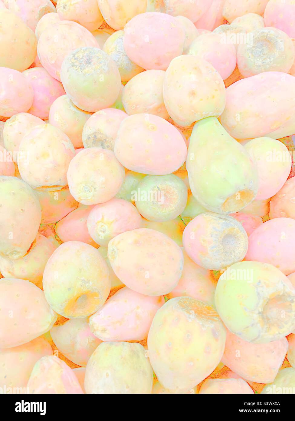 Faded photograph of cactus fruit as fresh produce. Stock Photo