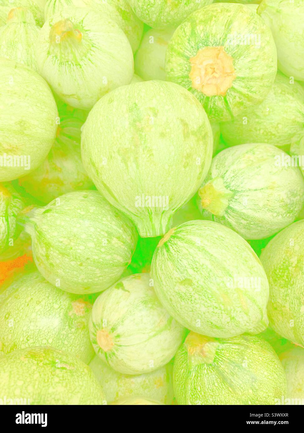 Faded photograph of round Mexican zucchini for sale at the garden fresh produce market. Stock Photo