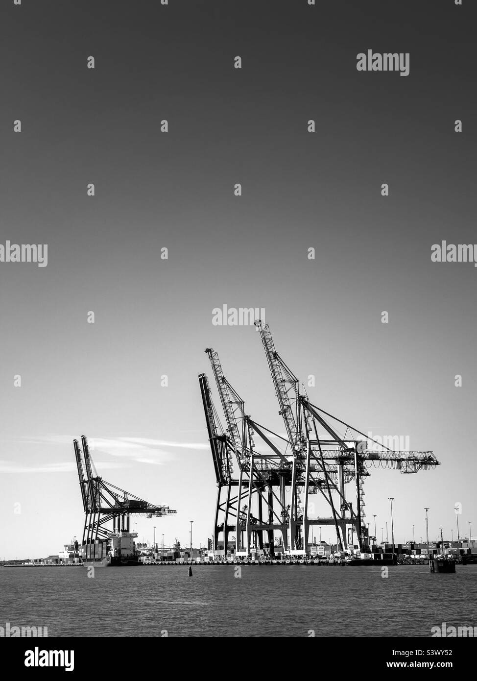 Cranes in Gothenburg in black and white - Smartphone Captured Stock Image