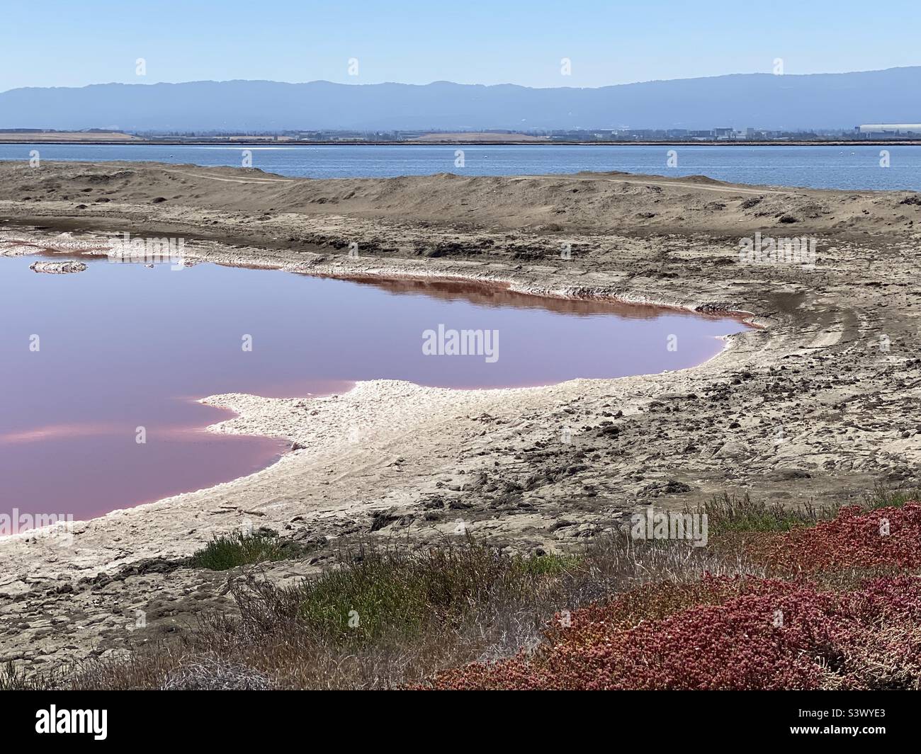 An image of a salt flat near San Francisco that was converted into a