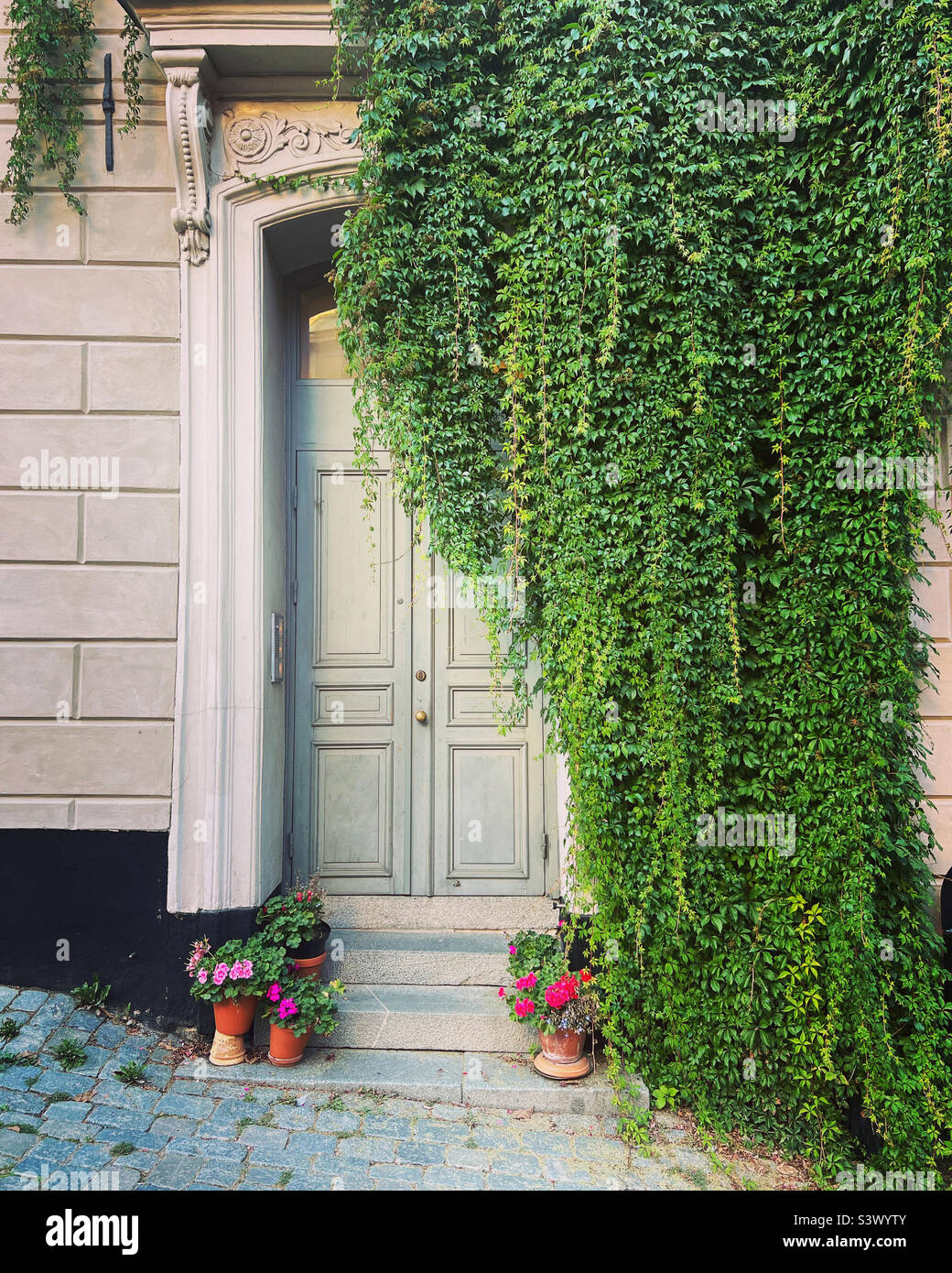 Door entrance with ivy hi-res stock photography and images - Alamy
