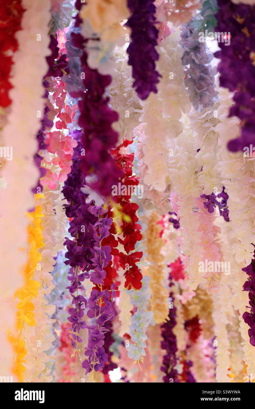 Flower rain - Smartphone Captured Stock Image