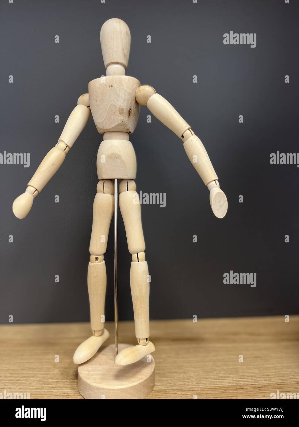 Anatomy Artists Dummy Stock Photo Alamy