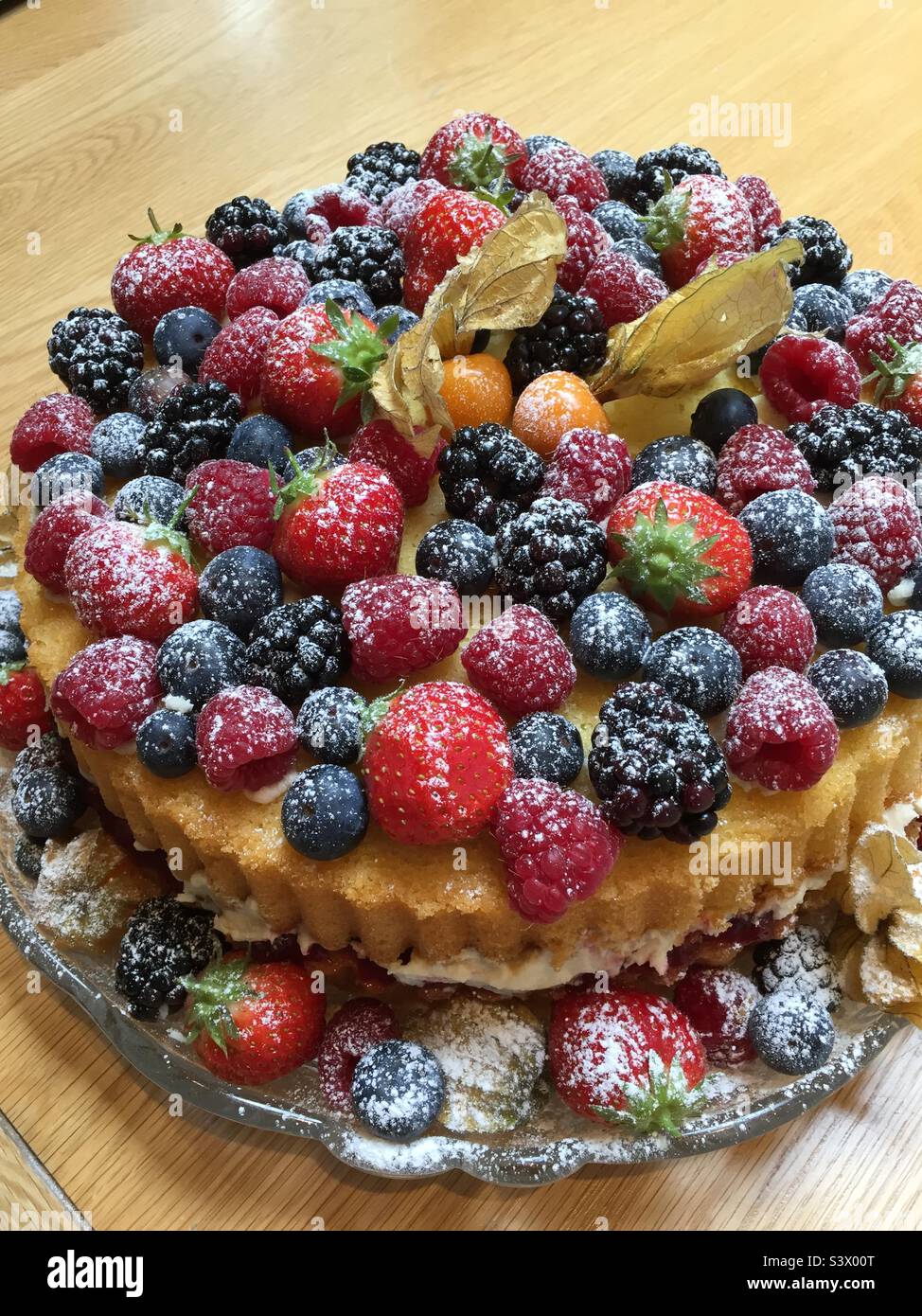 Forest fruits and berries on double layer sponge flan dusted with icing sugar - Smartphone Captured Stock Image
