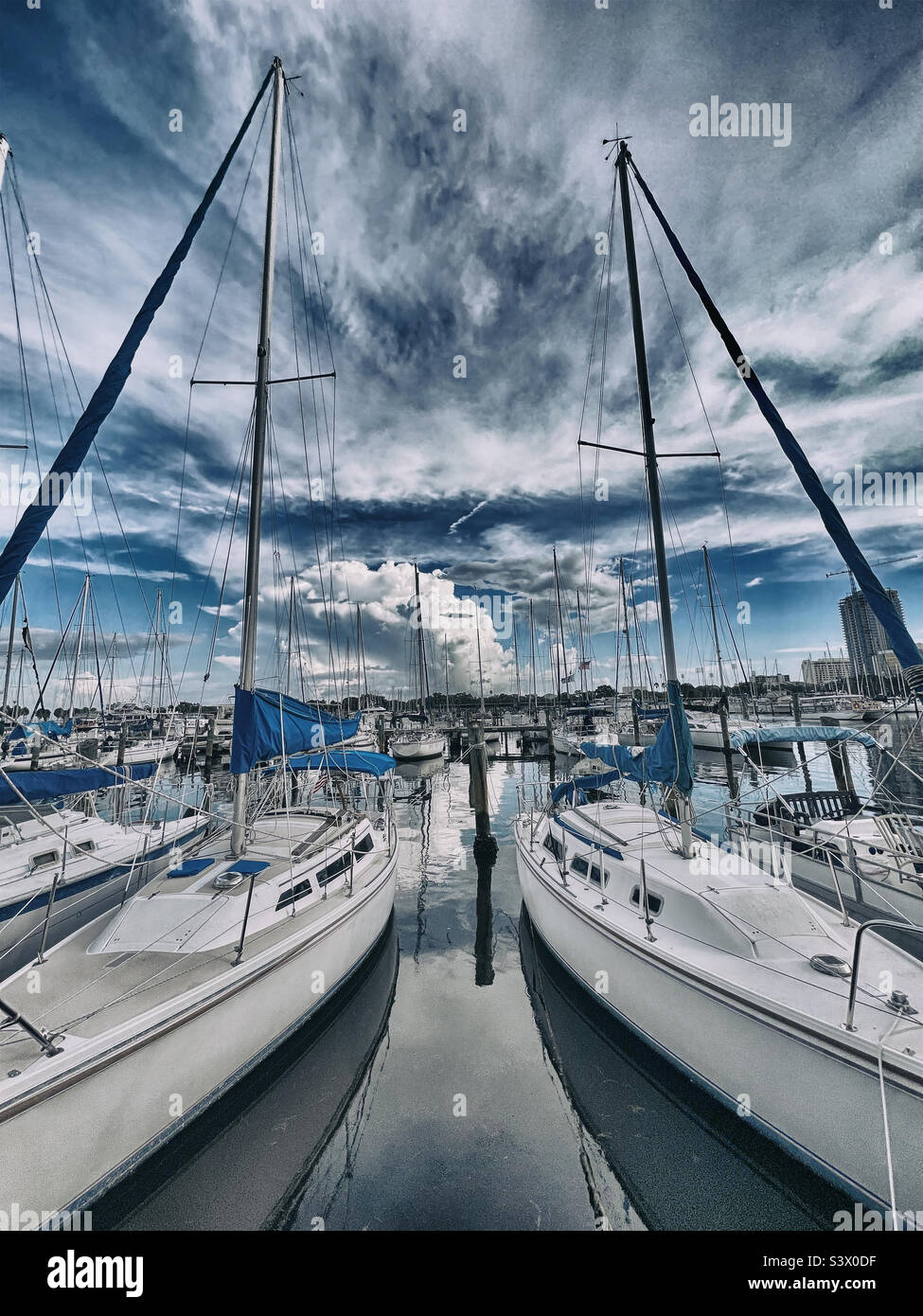 Sailboats in Marina - Smartphone Captured Stock Image