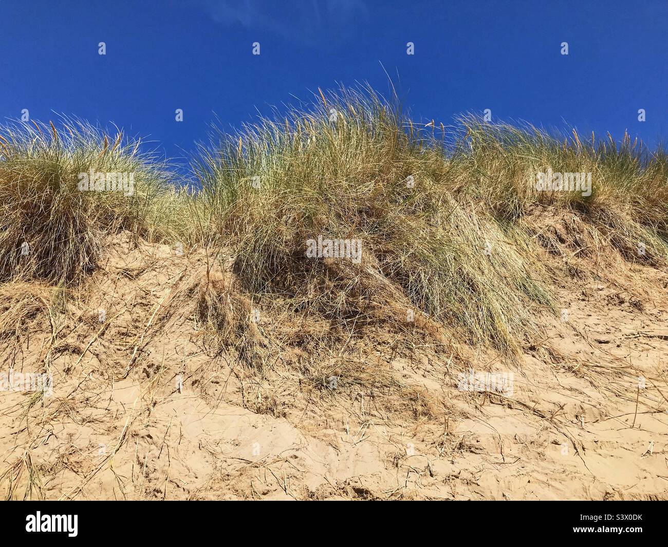Sand dunes at Morfa Harlech National Nature Reserve near Harlech Wales UK - Smartphone Captured Stock Image