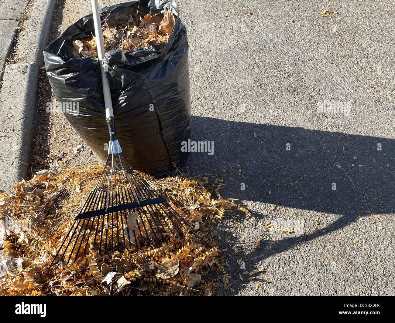 Rake street Cut Out Stock Images & Pictures - Alamy