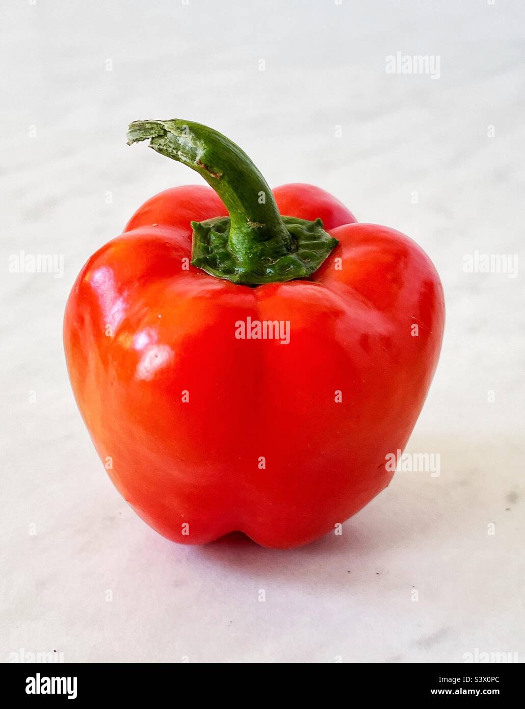Freshly picked little red pepper fresh from the garden. - Smartphone Captured Stock Image