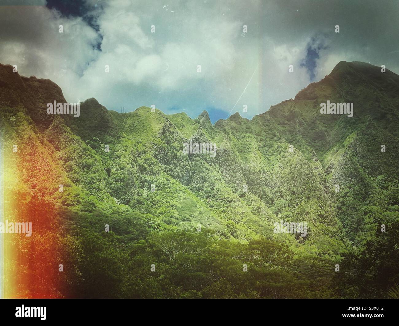 Vegetation Ridge Mountain ridge covered in lush green tropical vegetation Stock Photo ...