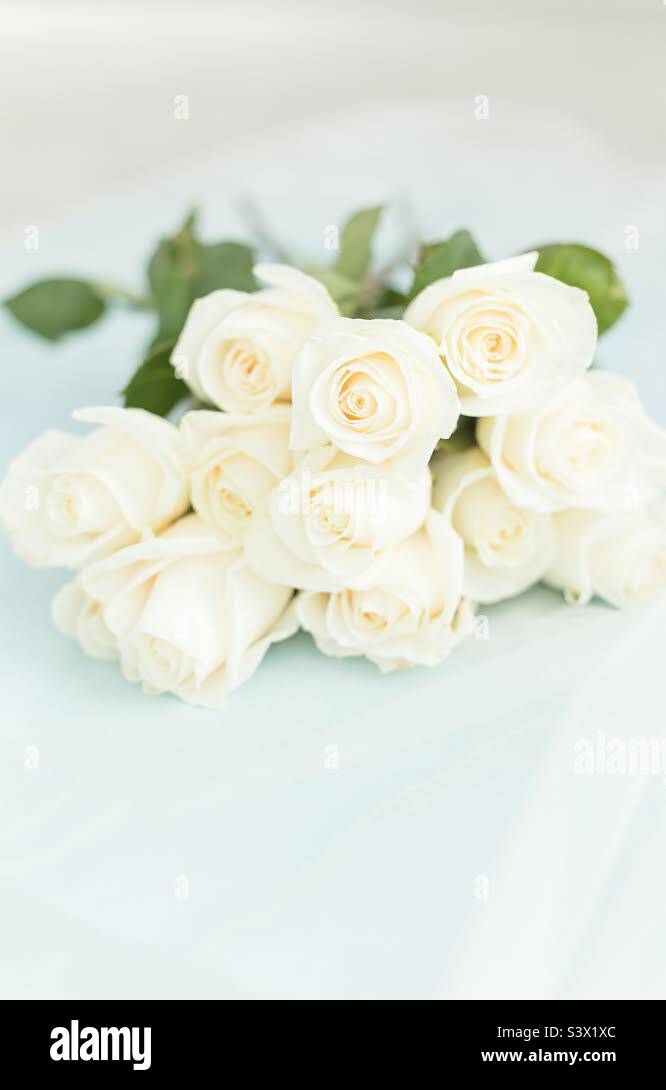 Roses, bouquet, florals Stock Photo