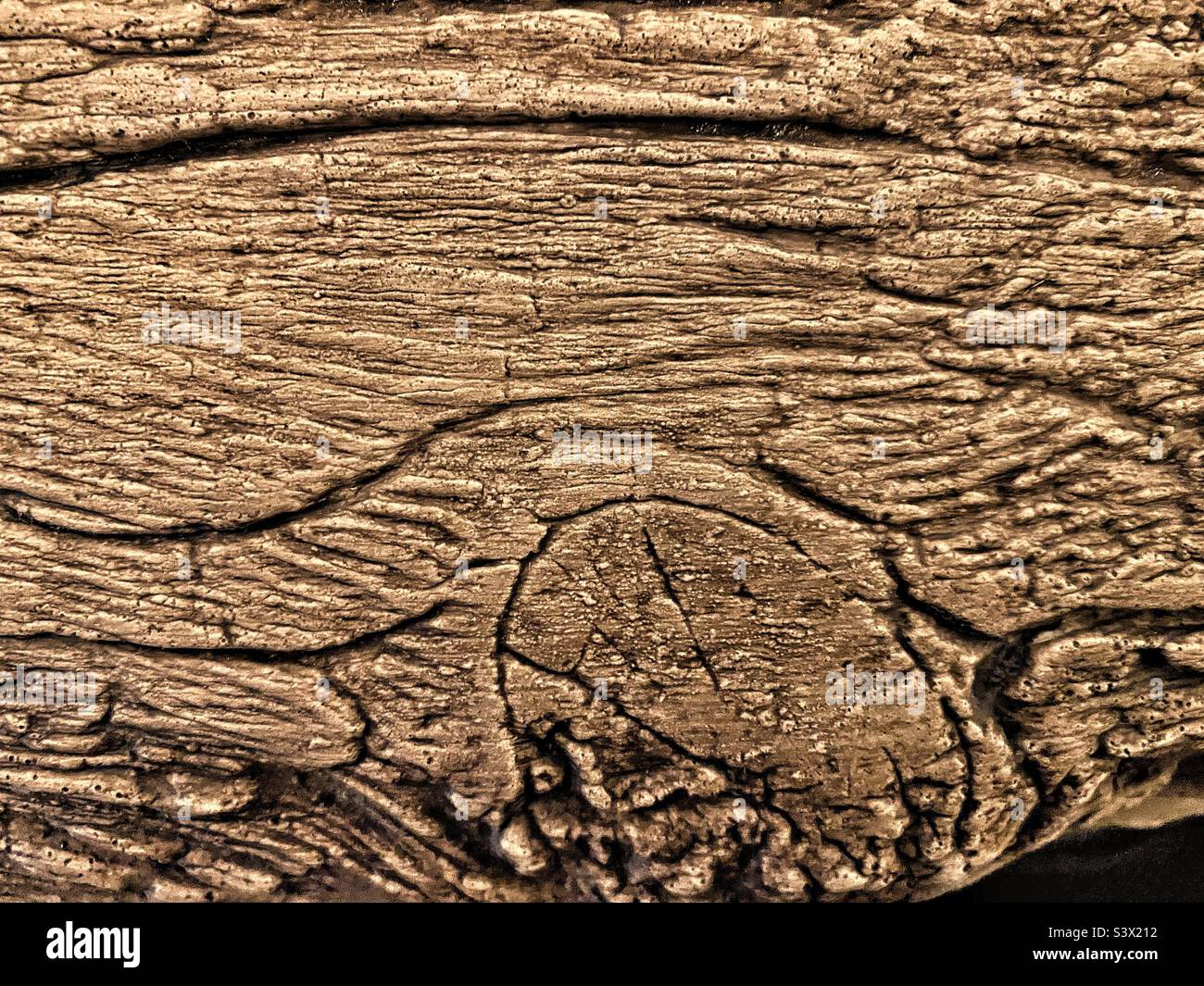 close up of an ancient heavily grained oak beam supporting the ceiling of a tudor house in Suffolk UK - Smartphone Captured Stock Image