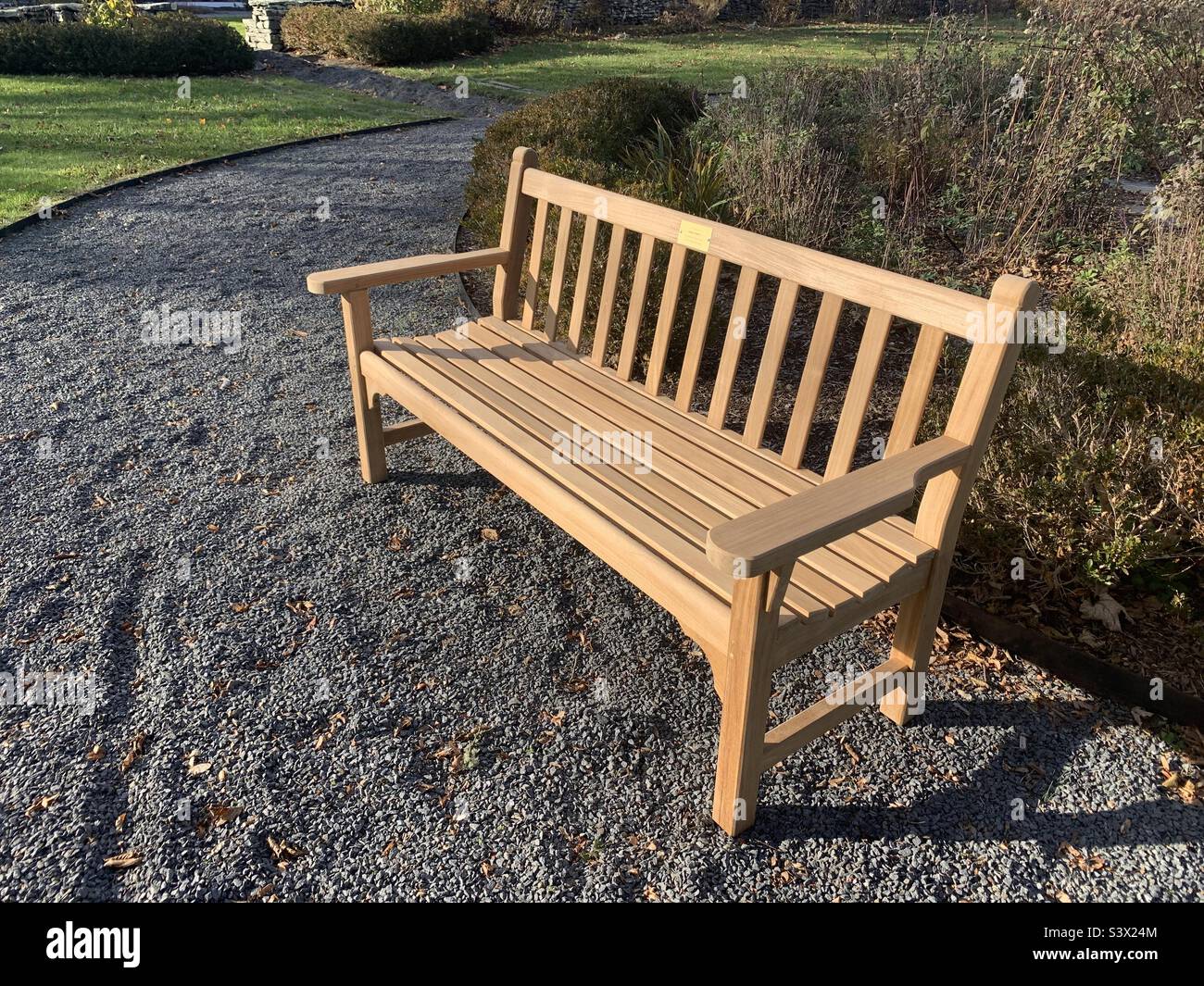 Bench at golden hour - Smartphone Captured Stock Image