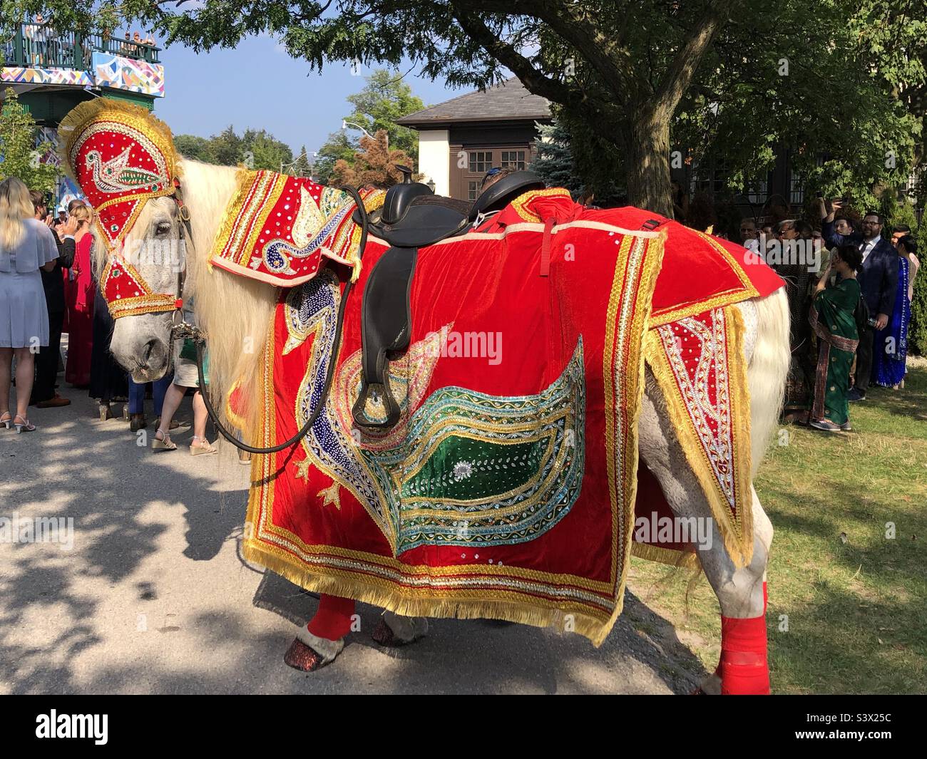 A horse decorated for a traditional Indian wedding. Stock Photo