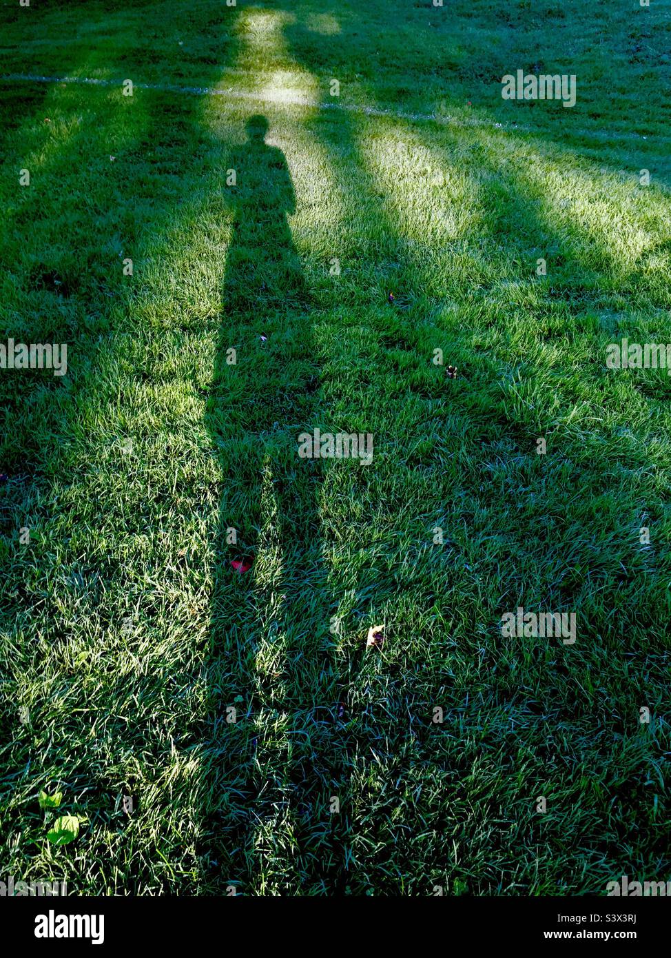 Phantom. Man’s long shadow in shafts of light on fresh green grass. - Smartphone Captured Stock Image