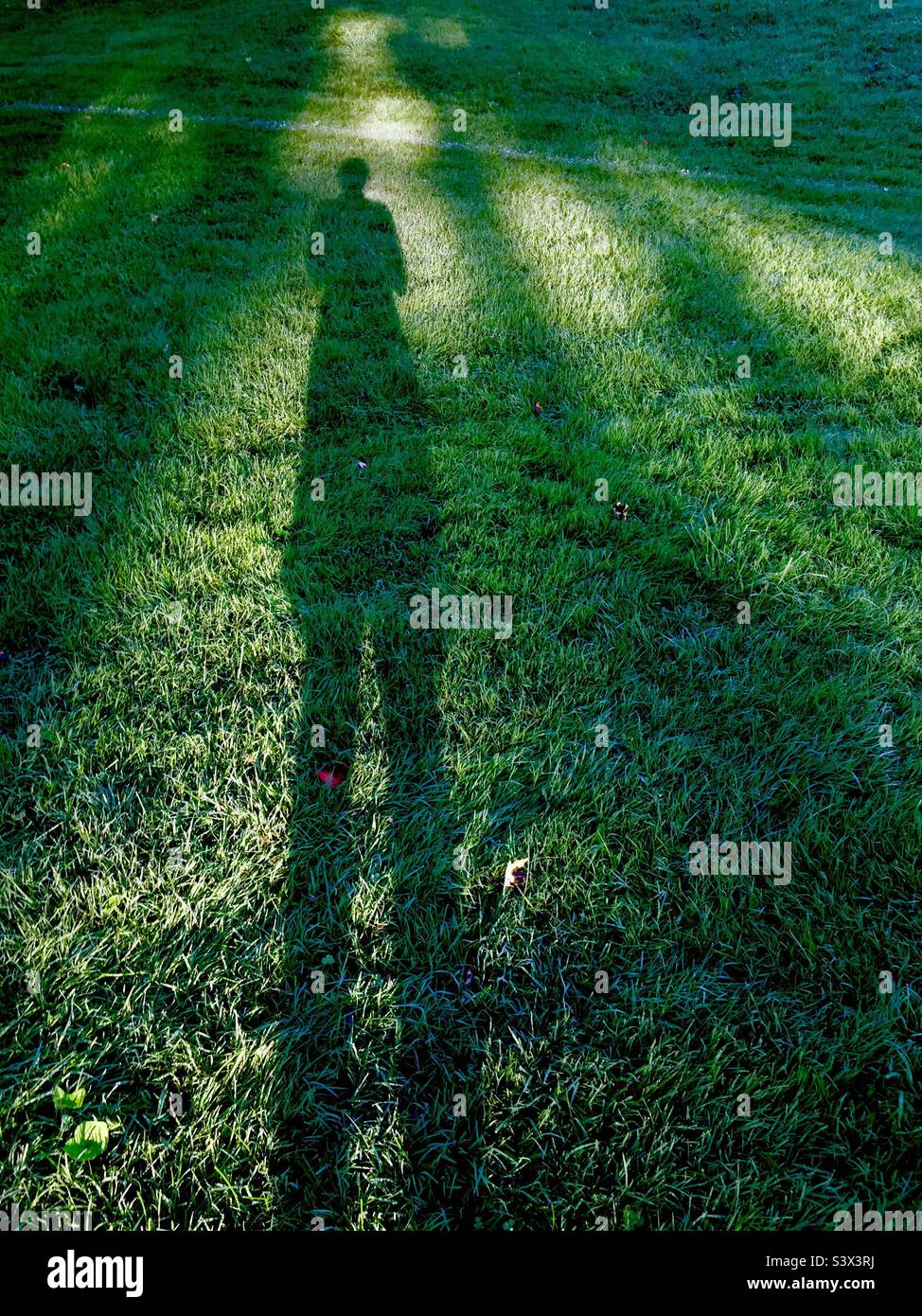 Phantom. Man’s long shadow in shafts of light on grass. Stock Photo