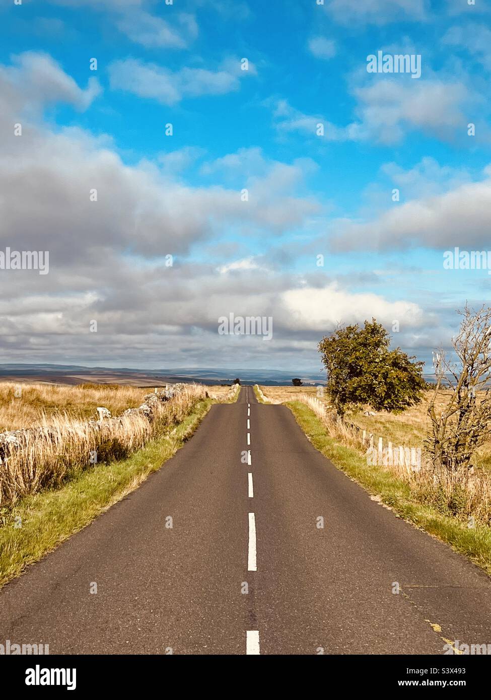 Diminishing perspective on an empty road Stock Photo