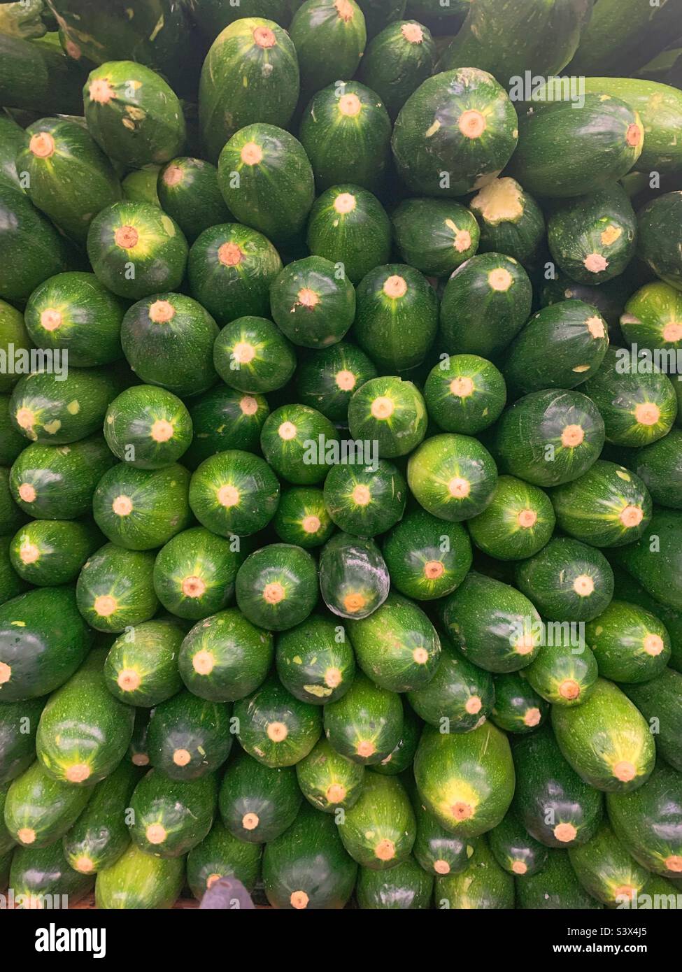 Many zucchini produce piled high . Stock Photo