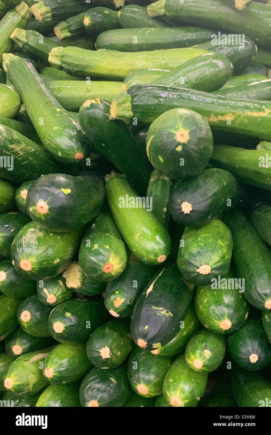 Many green zucchini piled high in a stack. Stock Photo