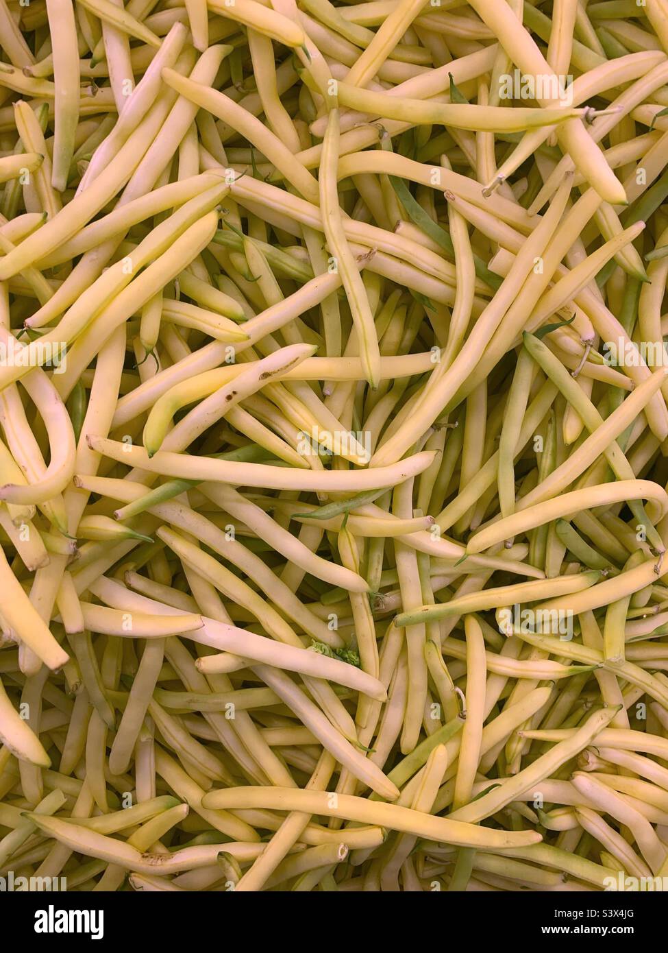 Fresh wax beans piled high and for sale in the fresh garden market. Stock Photo