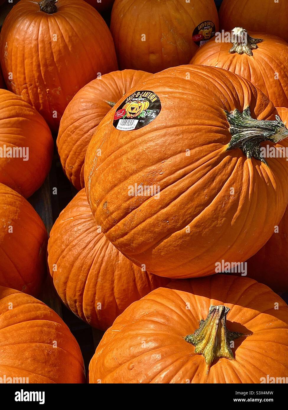 A large bin of pumpkins out in front of a Walmart in Utah, USA, out for sale in plenty of time for the upcoming Halloween holiday season. - Smartphone Captured Stock Image