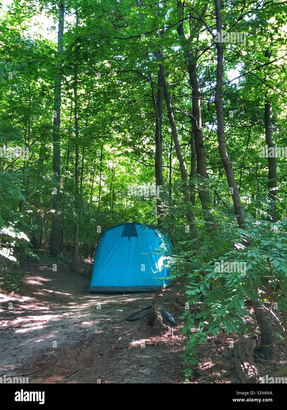A blue tent in the woods. Stock Photo