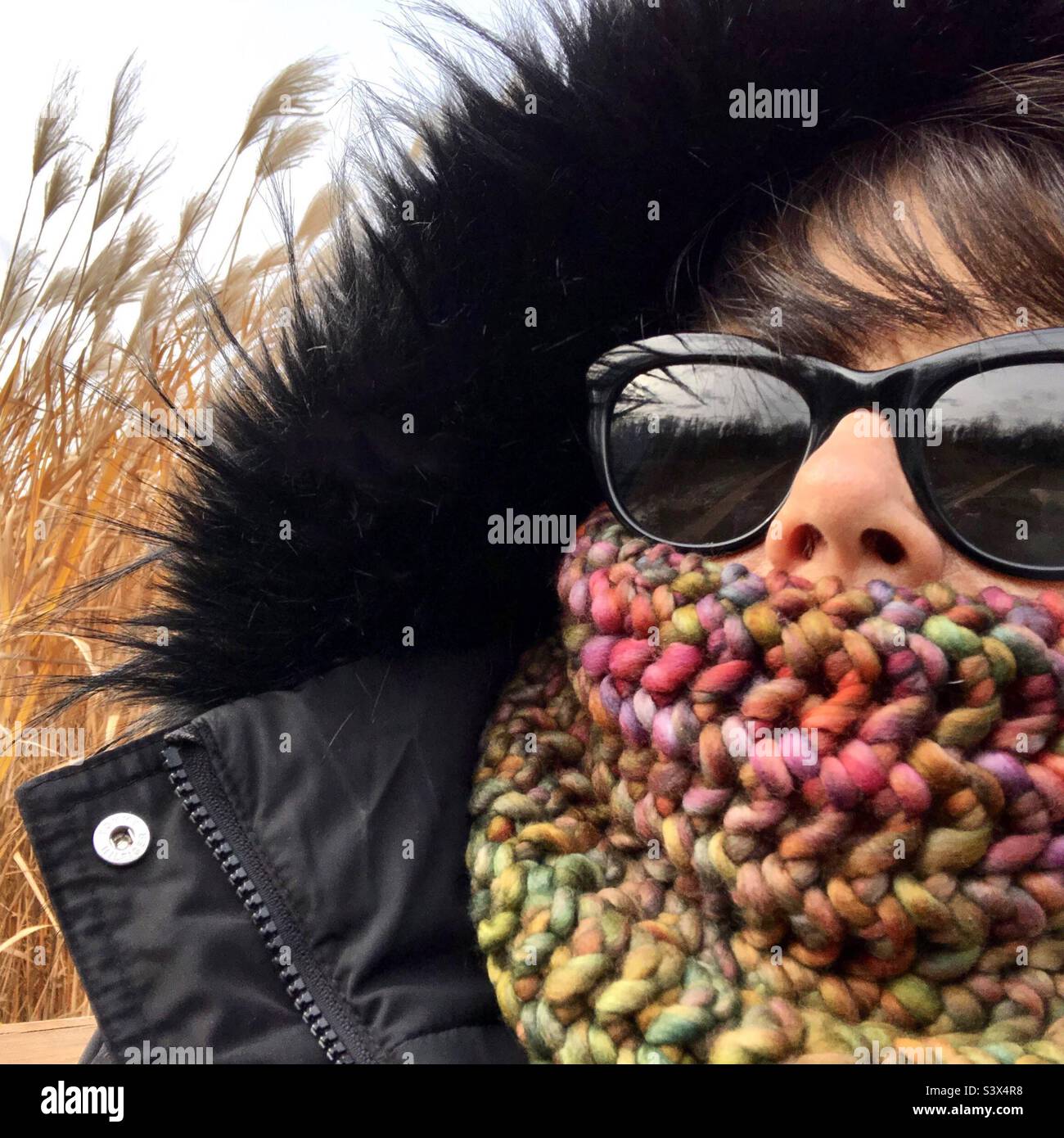 Cold Autumn - Smartphone Captured Stock Image