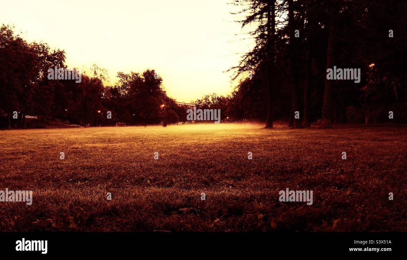 Dawn over Central Park. - Smartphone Captured Stock Image