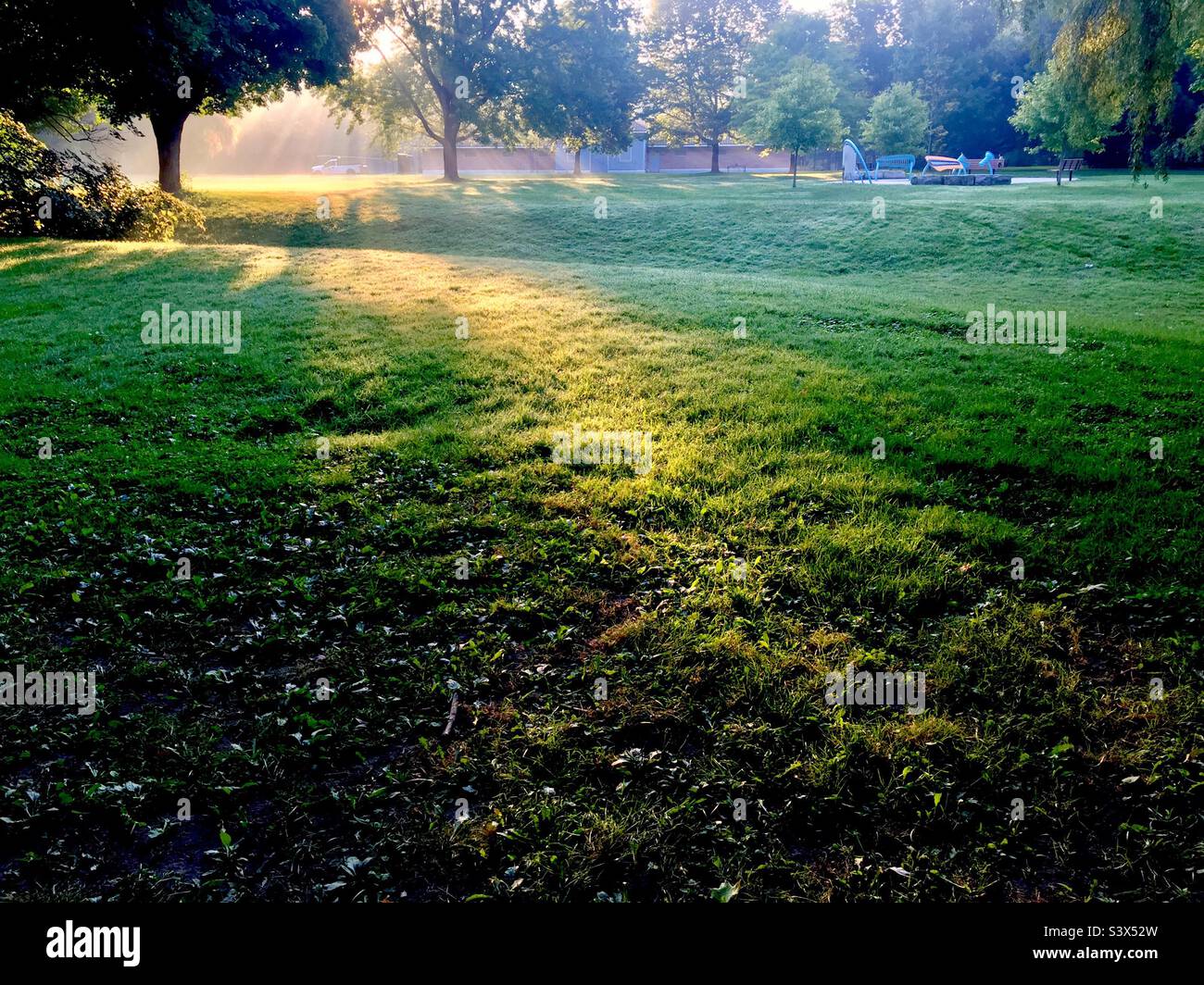 Golden hour. Here comes the morning. A large urban park, Ontario, Canada. Stock Photo