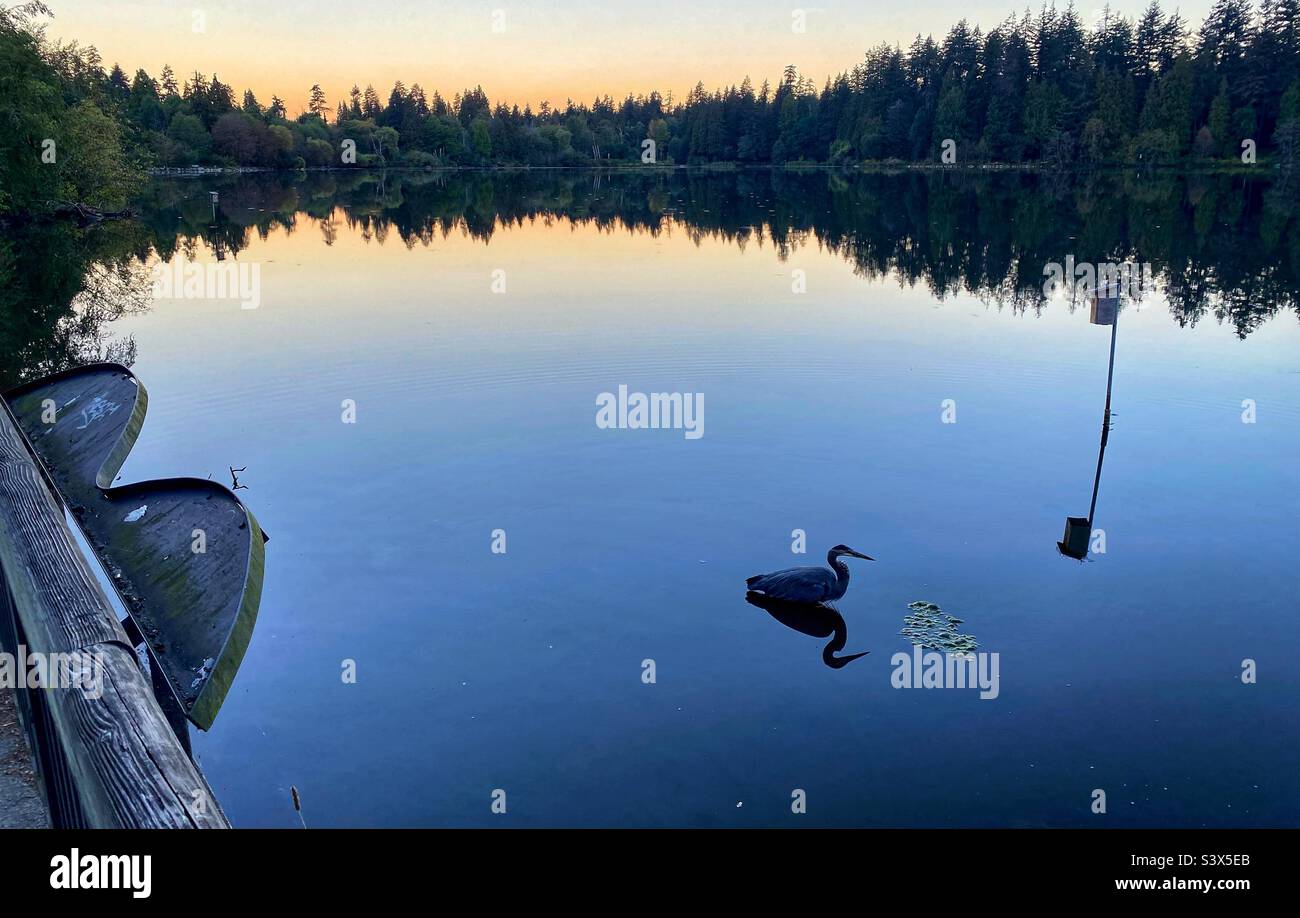Lost lagoon. Stanley park. Vancouver. Stock Photo