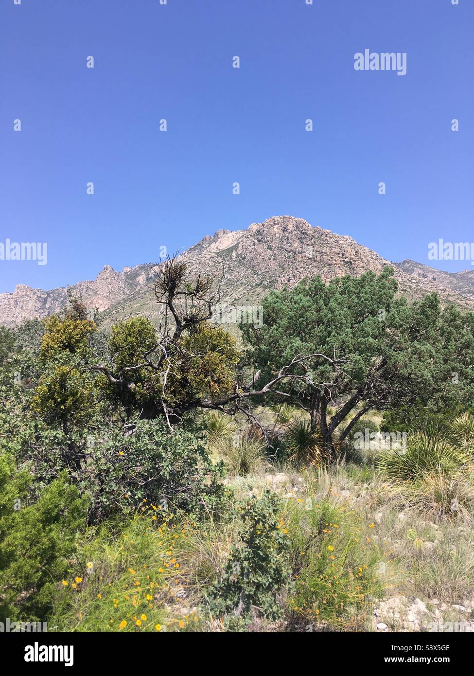 Guadalupe Mountains National Park Salt Flats Texas Stock Photo Alamy