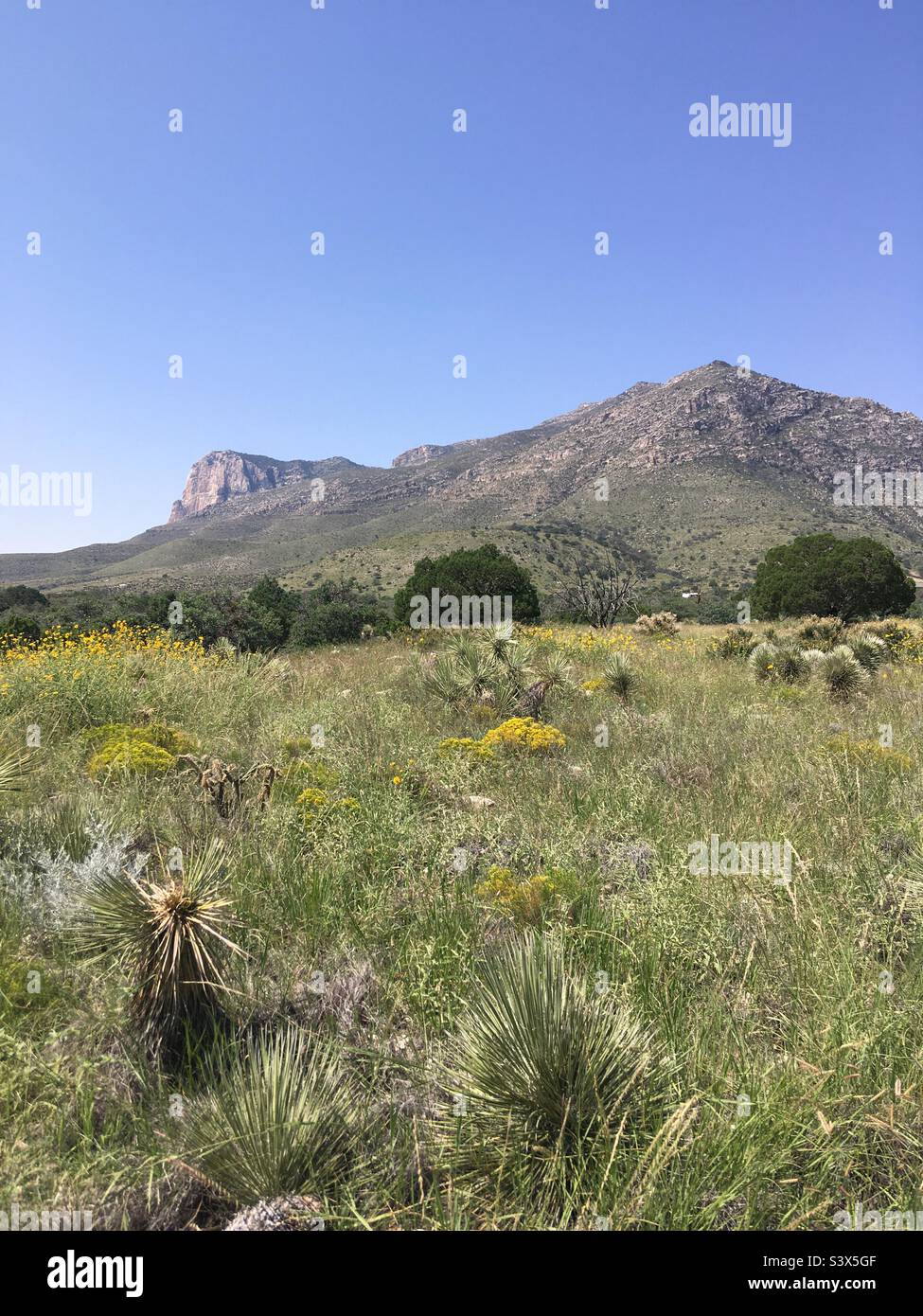 Guadalupe Mountains National Park Salt Flats Texas Stock Photo Alamy