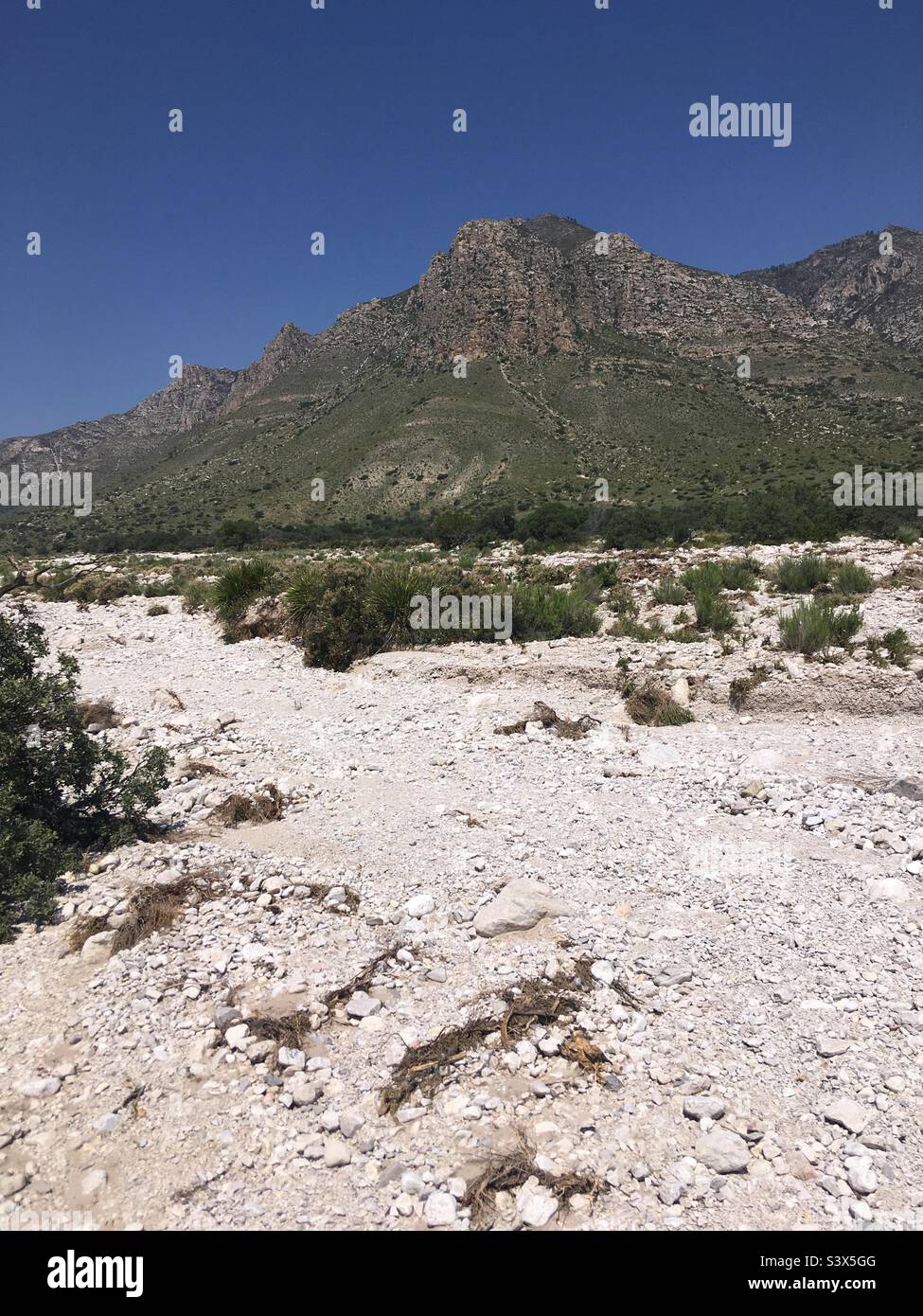 Wash at Guadalupe Mountains National Park Salt Flats Texas Stock Photo