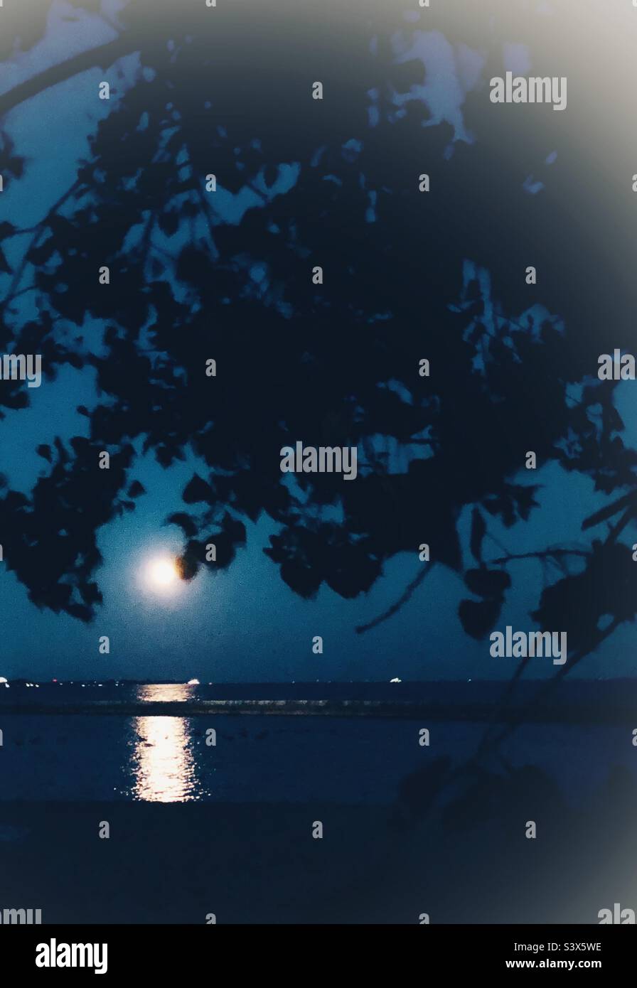 Full moon over the lake. - Smartphone Captured Stock Image