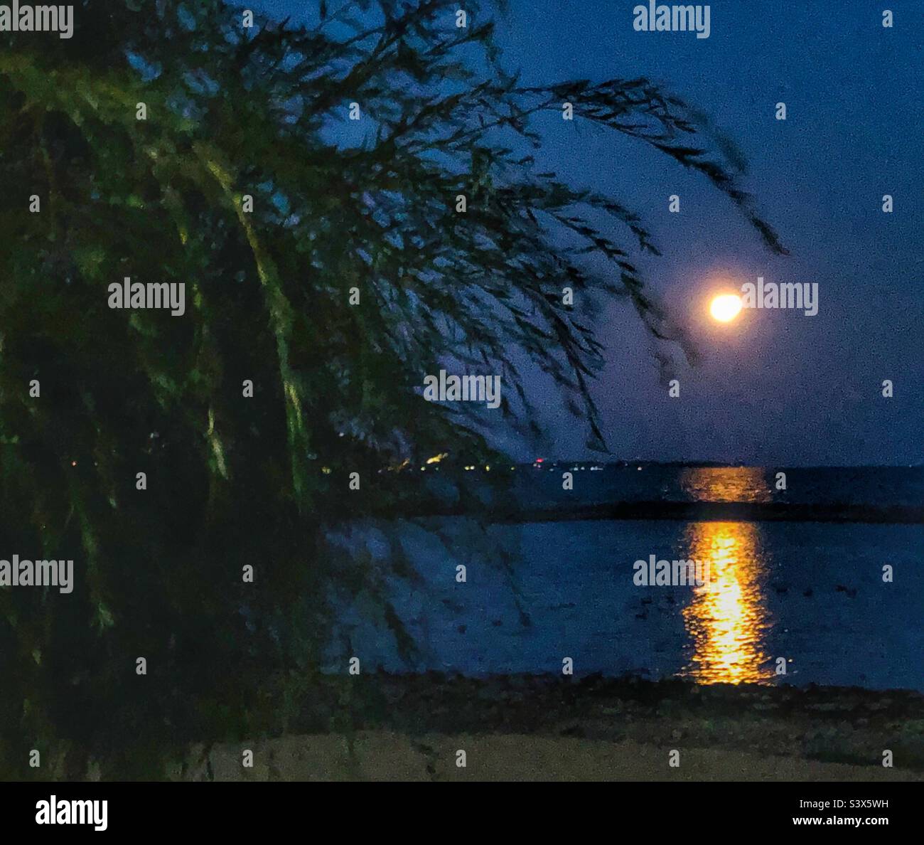 A full moon over the lake. Stock Photo