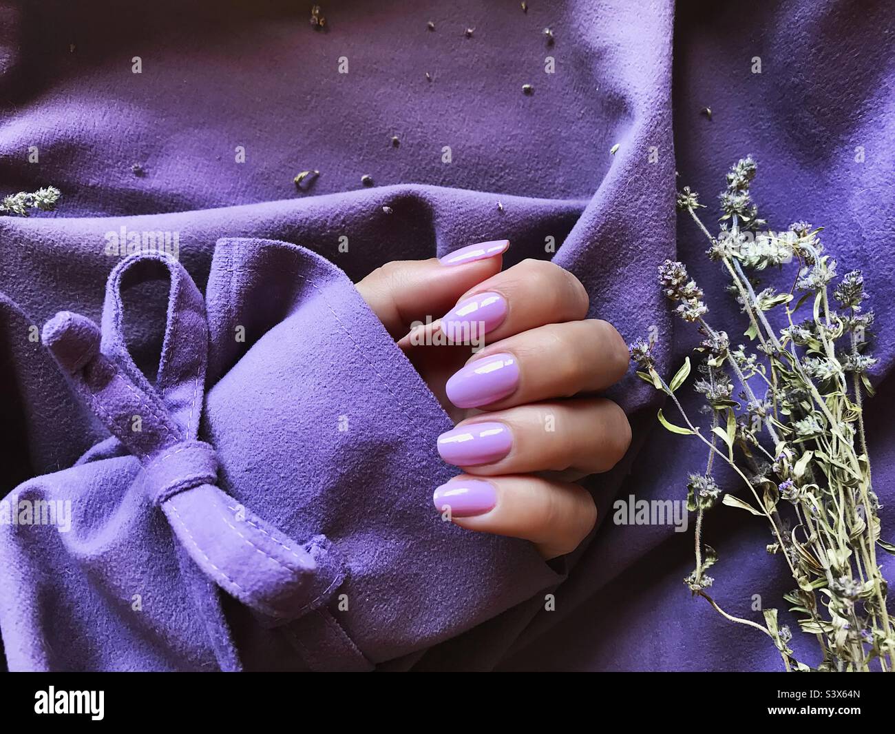 Purple manicure - Smartphone Captured Stock Image