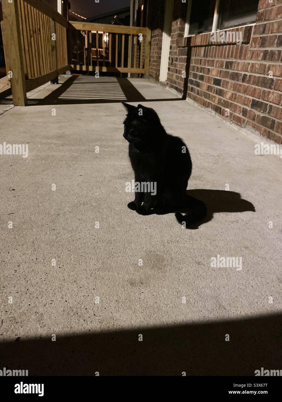 Walk out my front door and there was a “Black Cat Welcoming me” must be really good luck eh..! Stock Photo