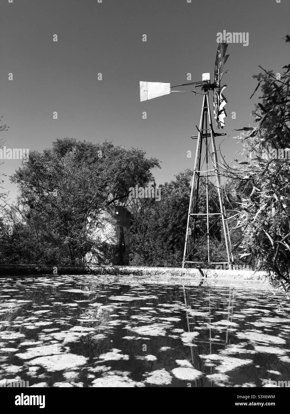Black and white tells a different story. This windmill is patiently waiting for the wind as the dam waits a top up but for now content with its water level and the growing fungus. No wind days. Stock Photo