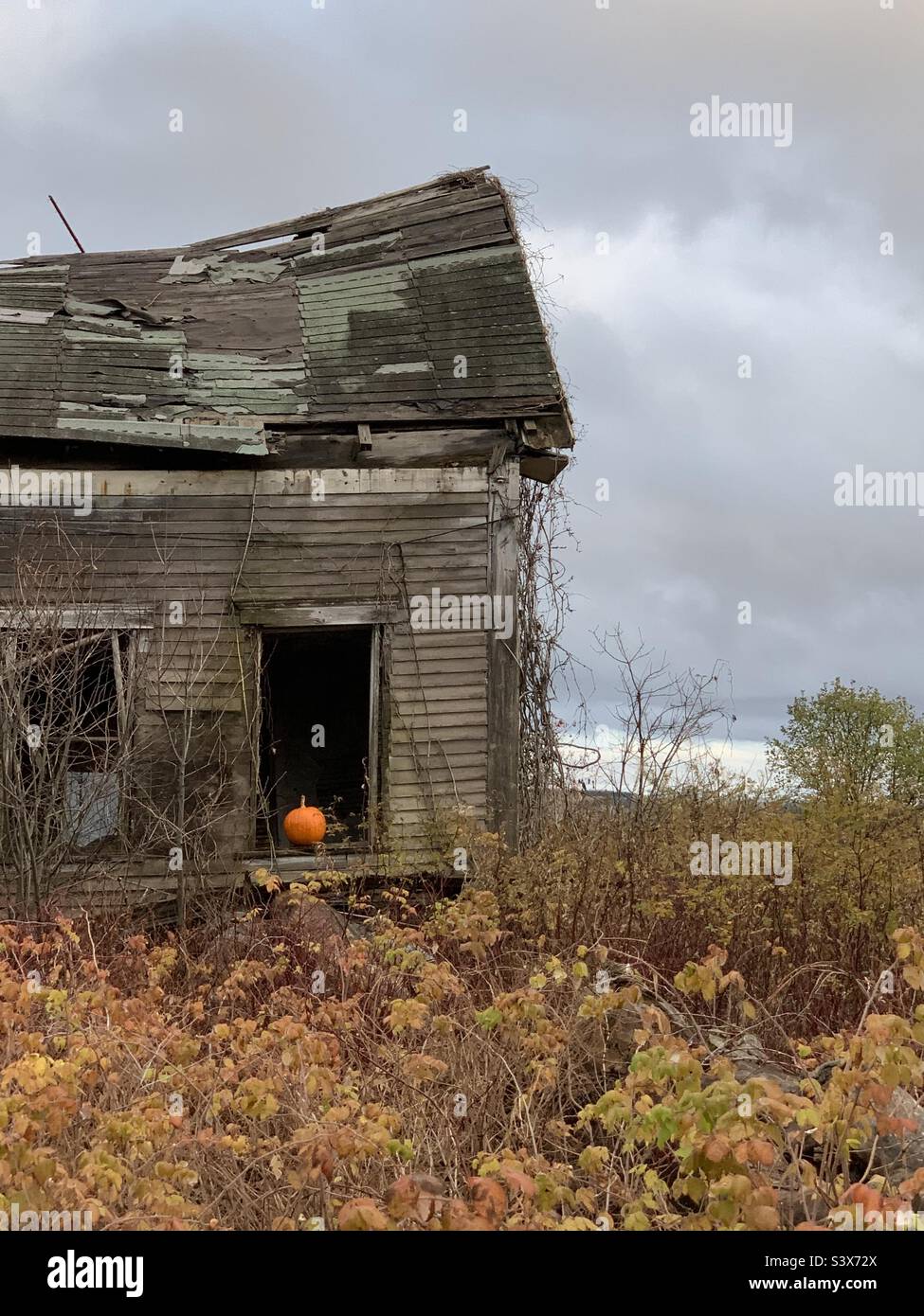 A bright orange pumpkin sitting on the windowsill of an abandoned house. Spooky scene of a haunted house. - Smartphone Captured Stock Image