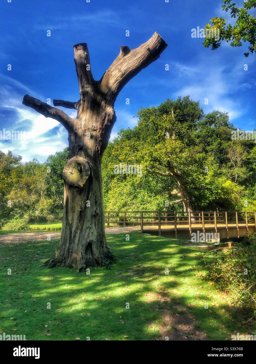 Bridge Lymington river stream in the New Forest National Park - Smartphone Captured Stock Image