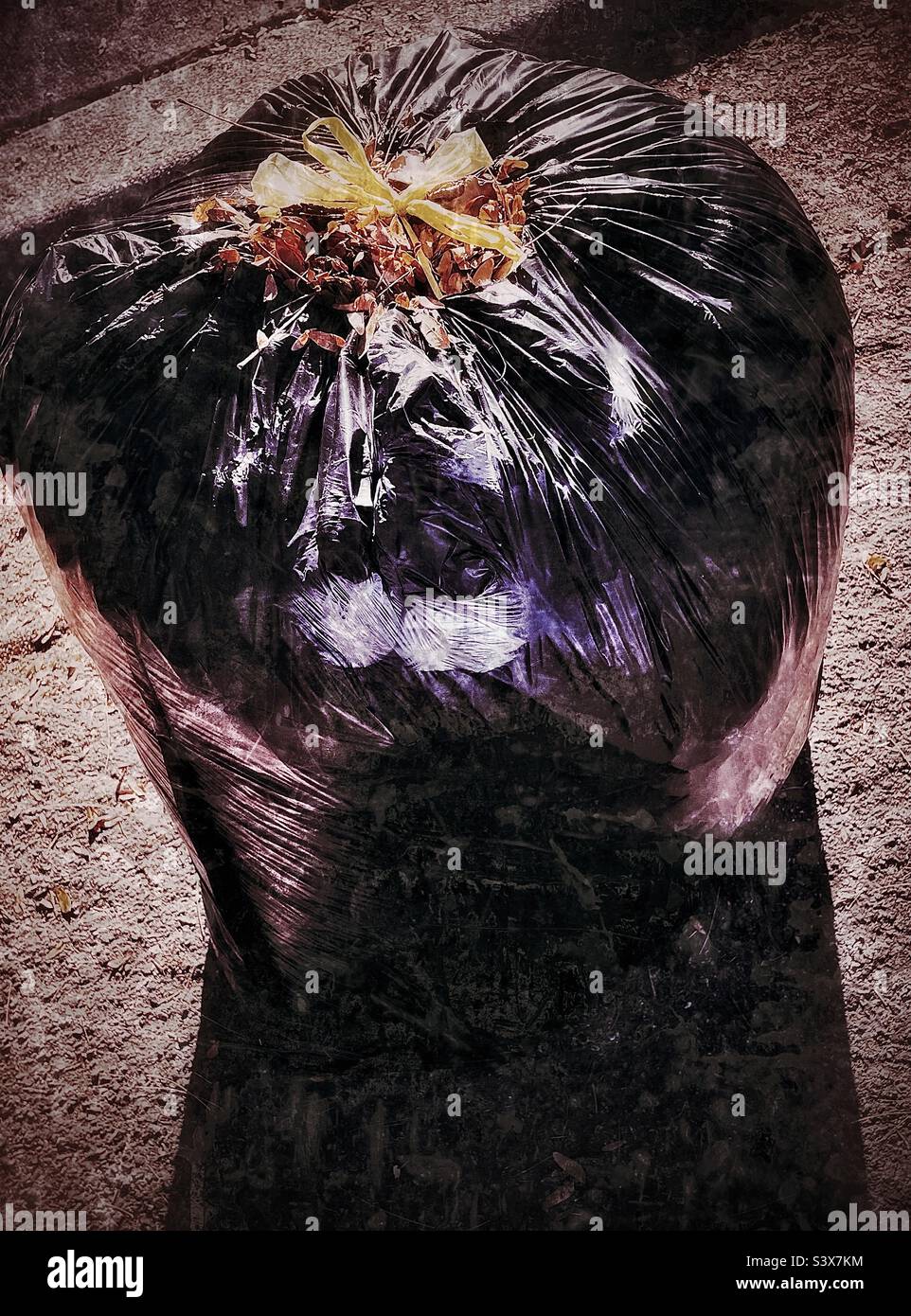 A grungy rendition of a large trash bag full of raked leaves at curbside in a neighborhood in Utah, USA. Stock Photo