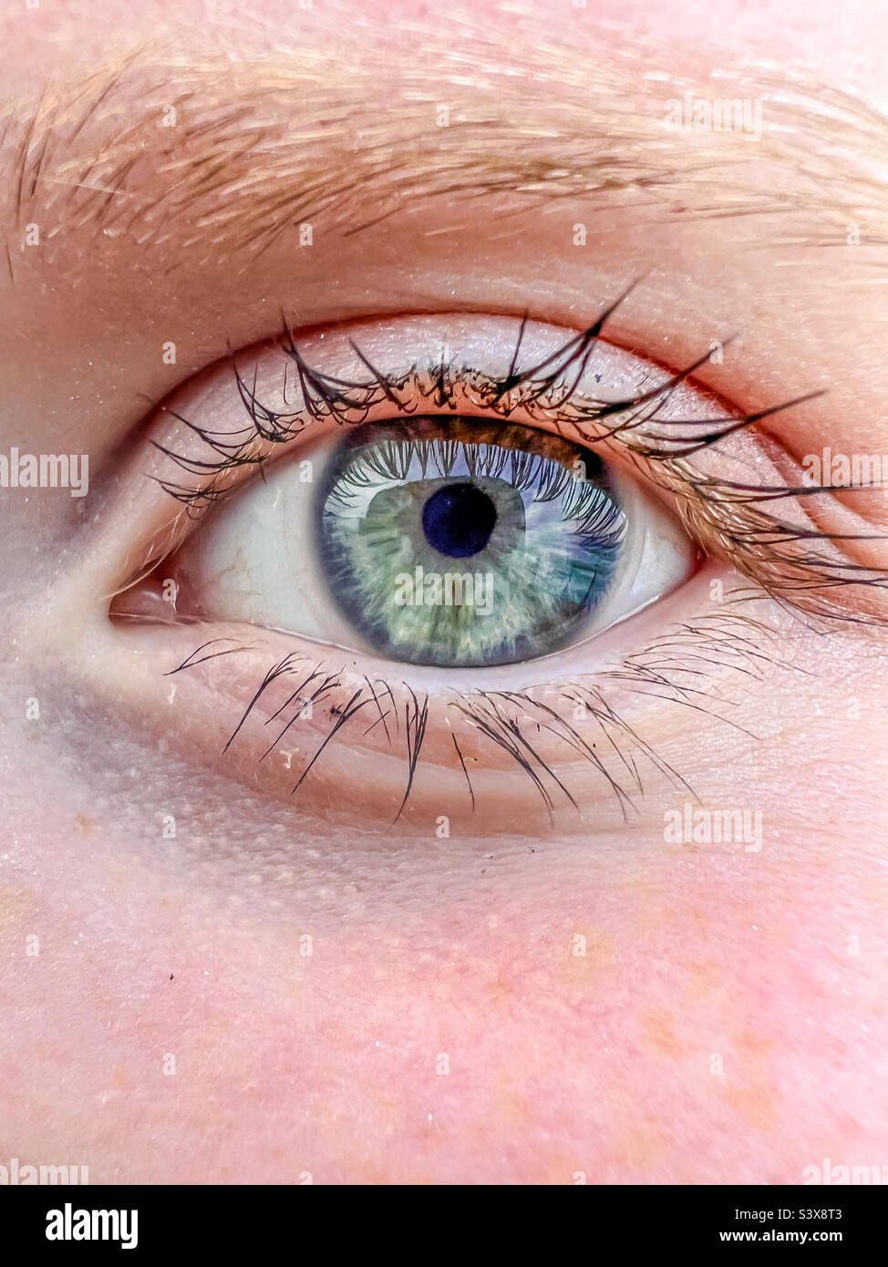Close up of a teenagers blue eye Stock Photo
