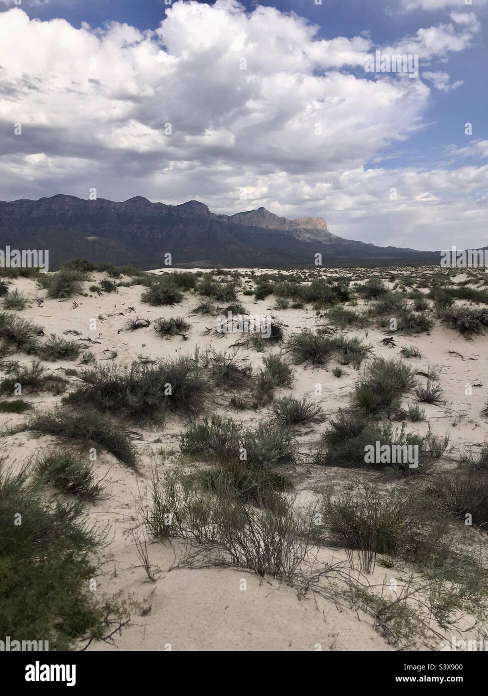 Sand Dunes at Guadalupe Mountains National Park Salt Flats Texas Stock