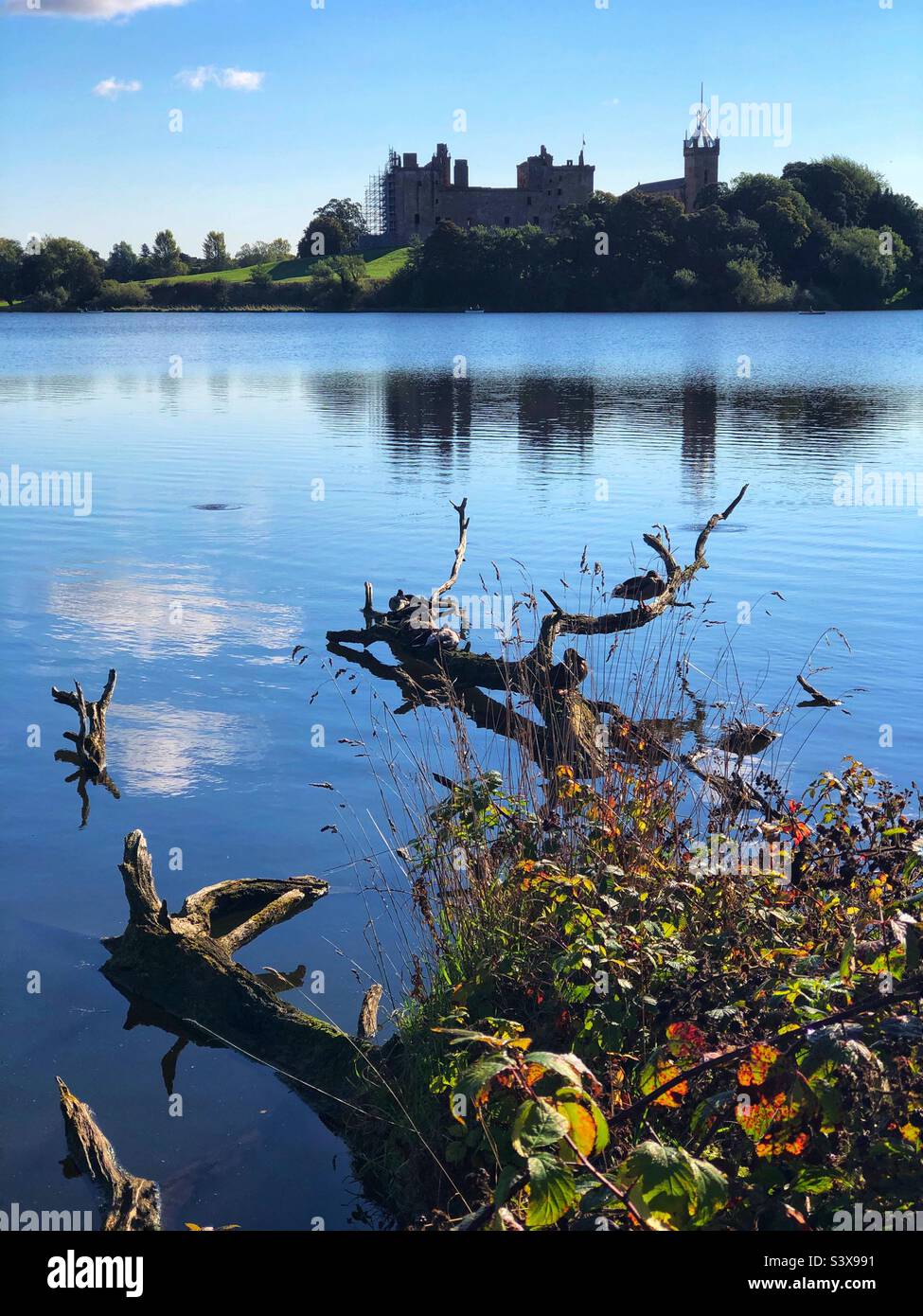 View across Linlithgow loch to Linlithgow palace and St. Michaels church, Linlithgow Scotland - Smartphone Captured Stock Image