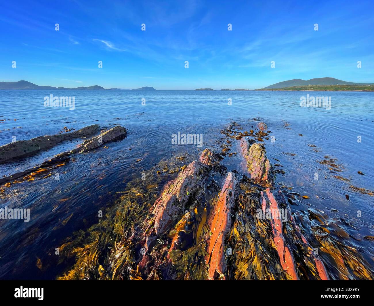Rocky shore at BallinSkelligs bay, County Kerry, Ireland, August. Stock Photo